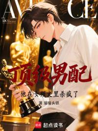 顶级男配他在女频文里杀疯了